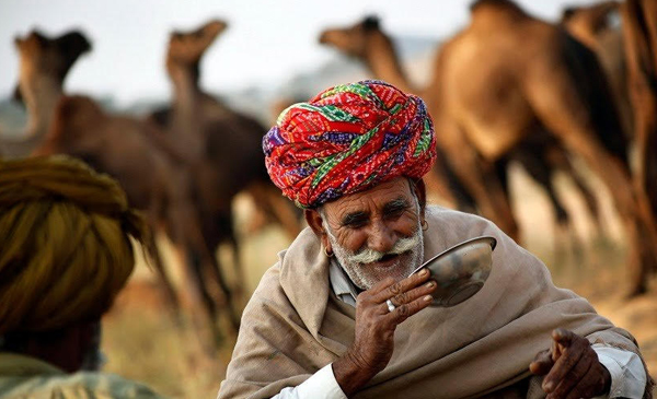 Pushkar Camel Fair